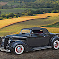 1936 Ford Cabriolet