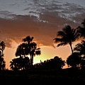 Sunset Silhouettes